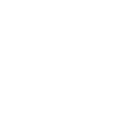parent icon